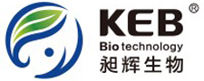 KEB-logo