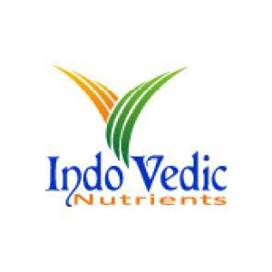 Indo Vedic Logo