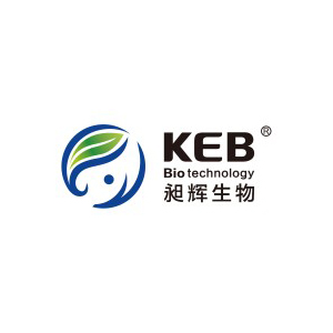 KEB Logo