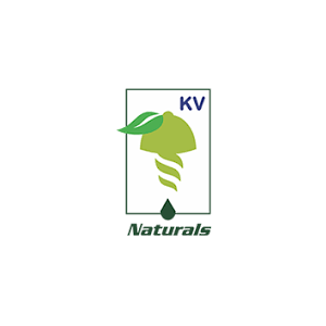 KV Logo